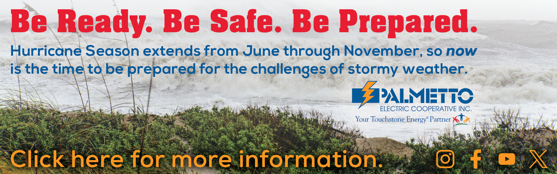 Palmetto Electric Storm Safety 