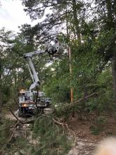 Downed line repair